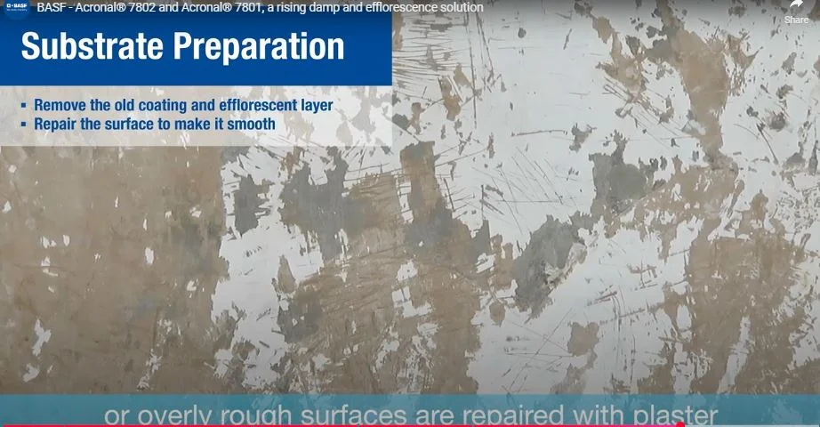 Acronal® 7802 - Before Application